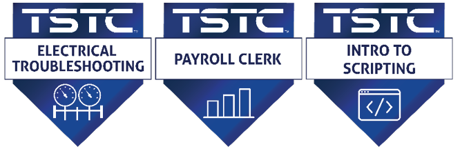 Earn Microcredentials and Badges BadgeSamplesForWeb 3 - Earn Microcredentials and Badges